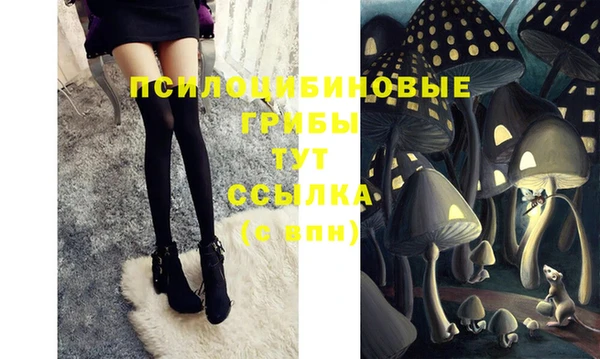 молекула духа Балабаново