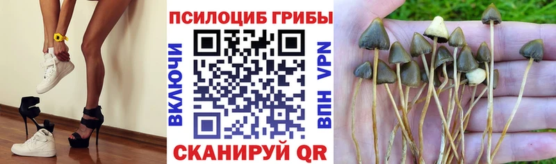 Галлюциногенные грибы MAGIC MUSHROOMS  Бобров 